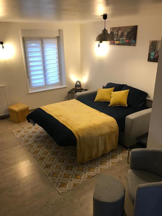 Bel Appartement Lumineux Avec Exterieur Rosieres-aux-Salines Buitenkant foto